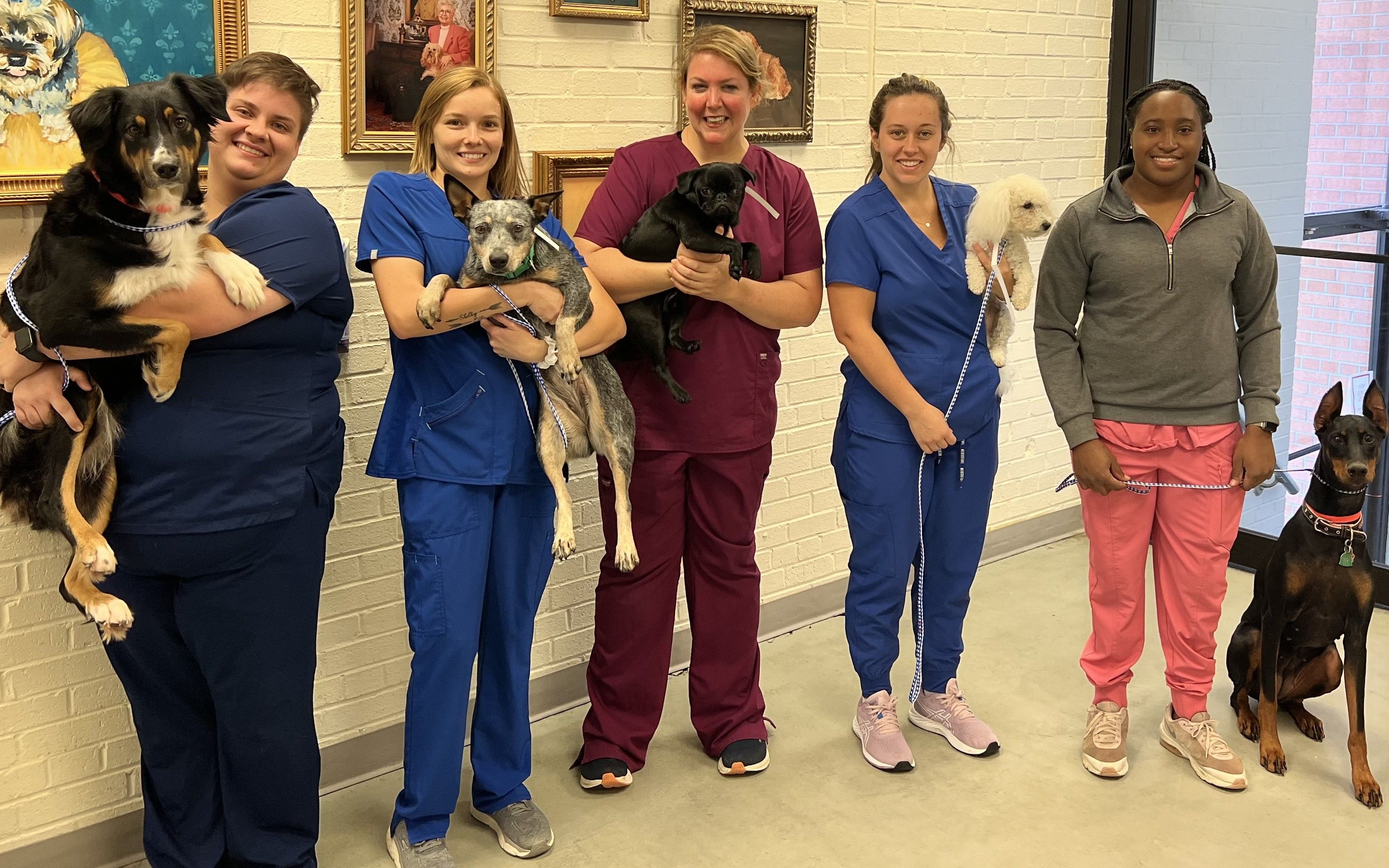 Robinson’s Rescue Shreveport, La