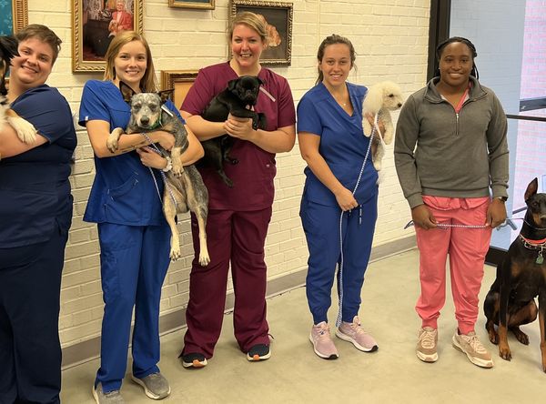 Robinson’s Rescue Shreveport, La