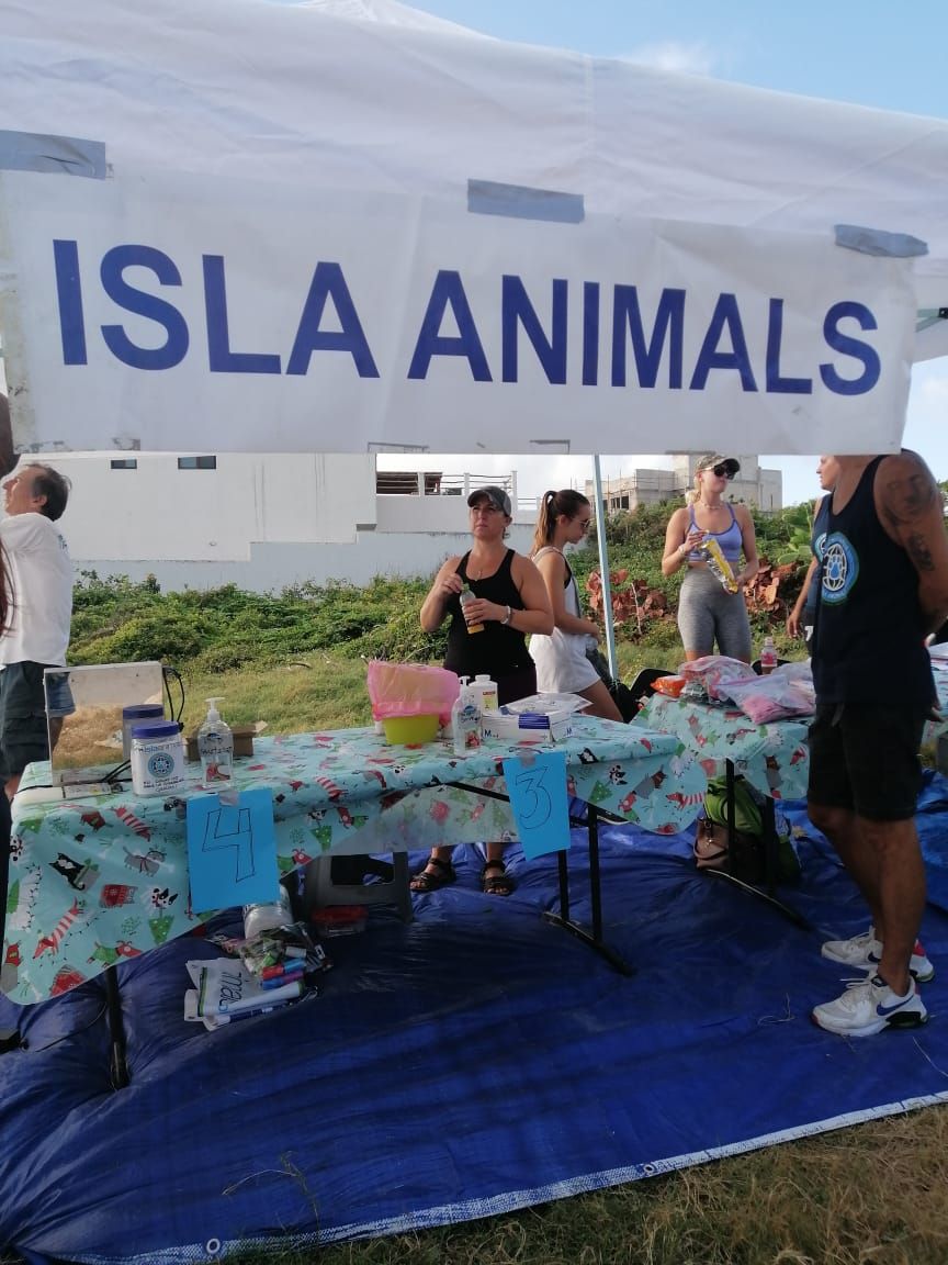 Isla Animal Rescue