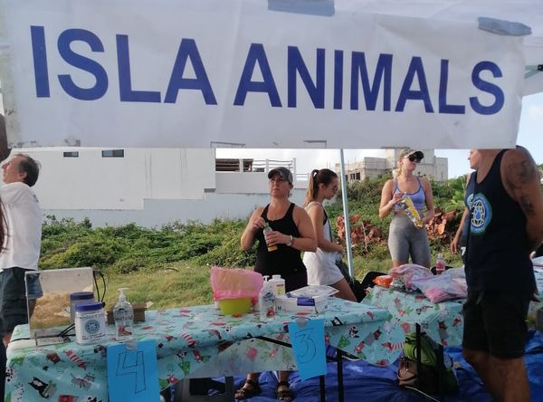 Isla Animal Rescue