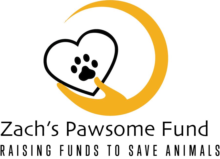 Zach’s Pawsome Fund.