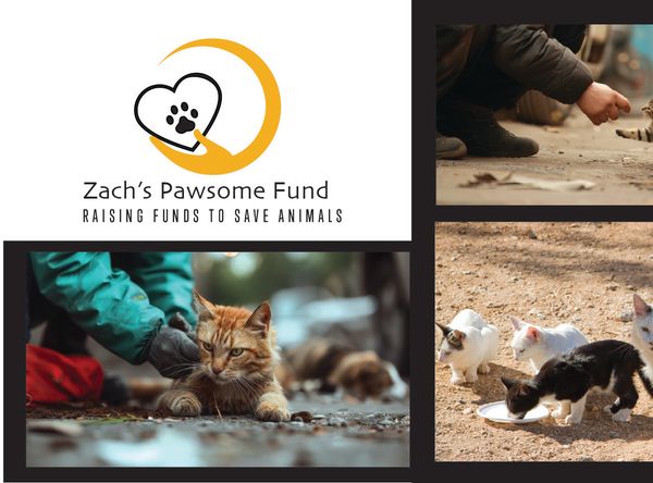Zach’s Pawsome Fund.