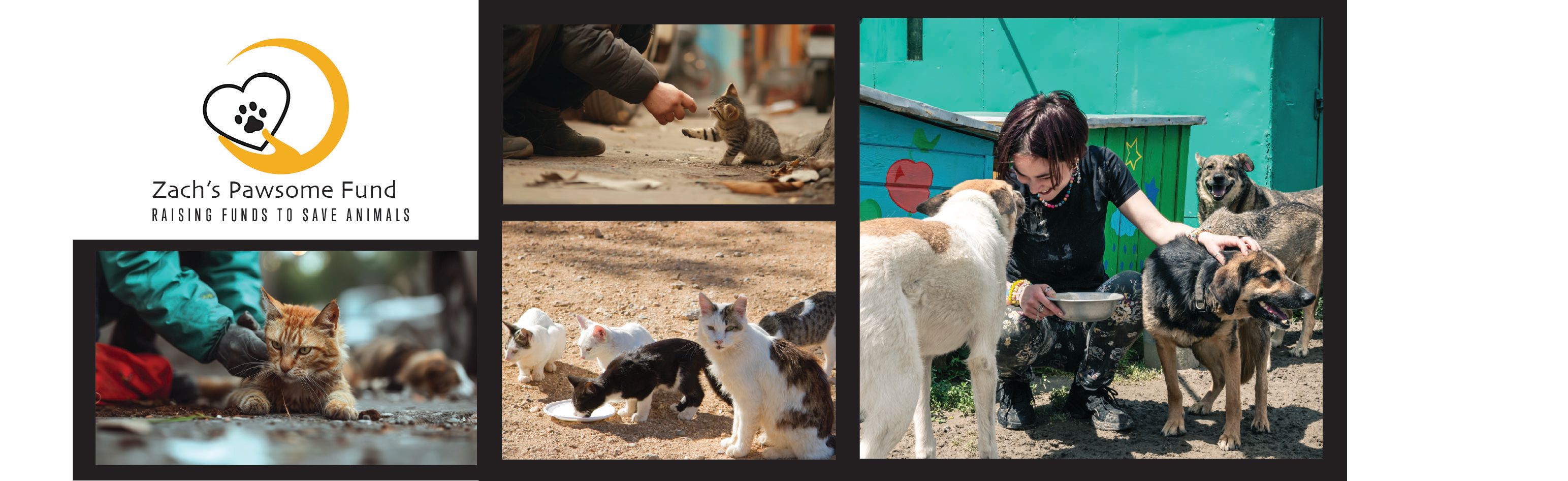 Zach’s Pawsome Fund.