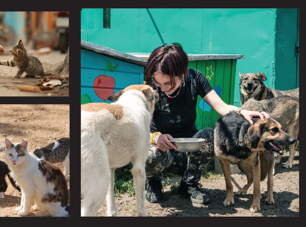 Zach’s Pawsome Fund.