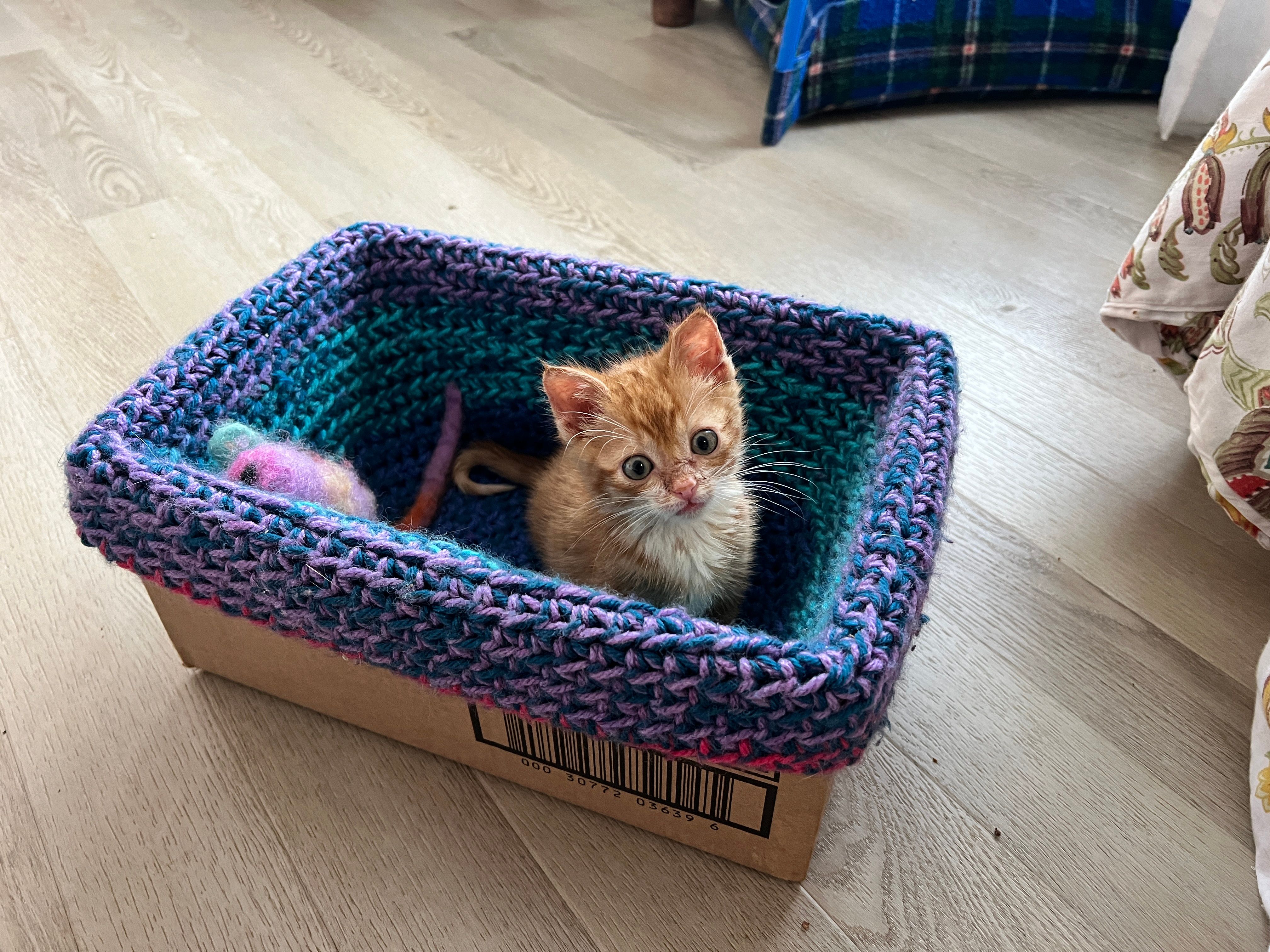 Mozart Sympawthy Animal Sanctuary Inc.