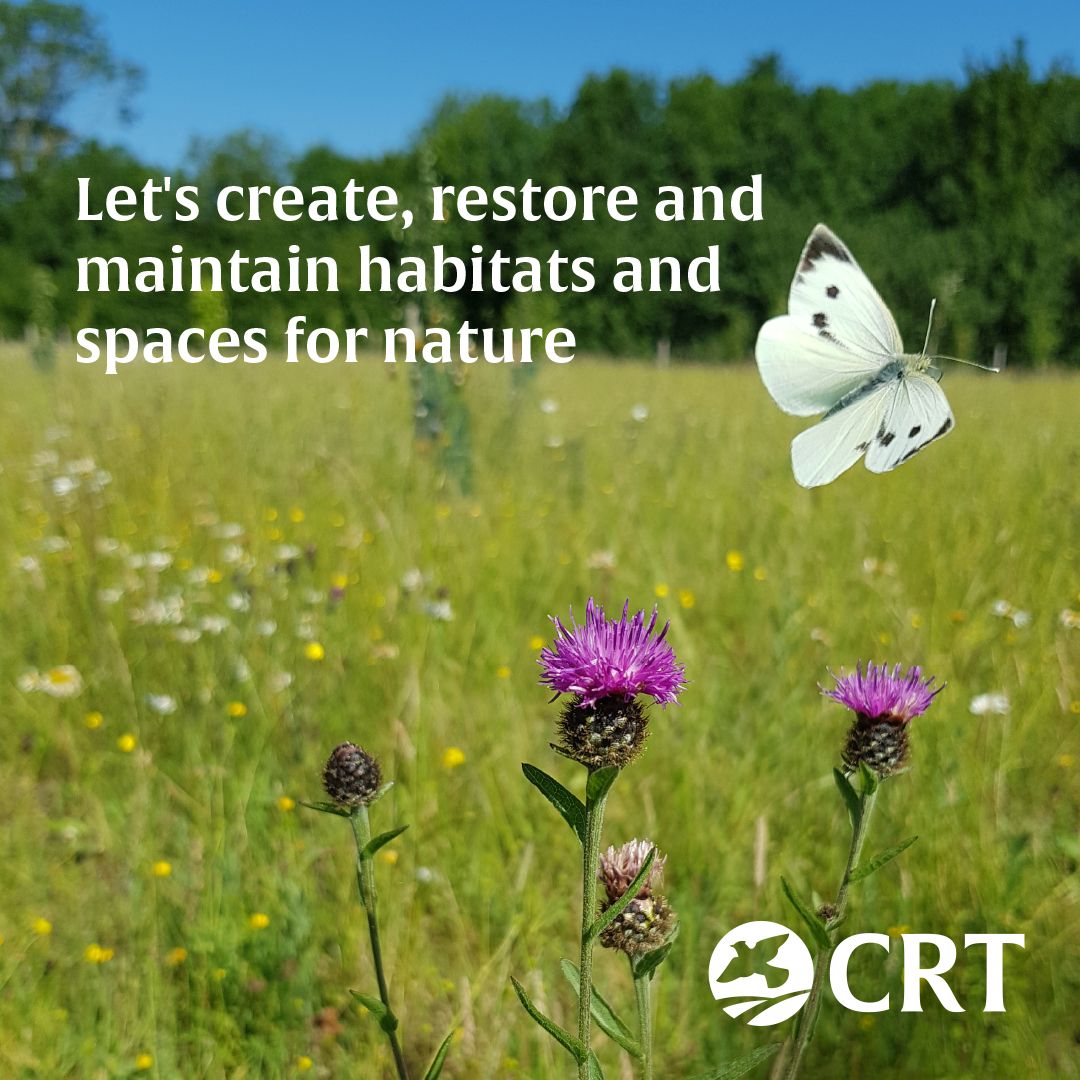 Countryside Regeneration Trust