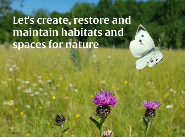 Countryside Regeneration Trust