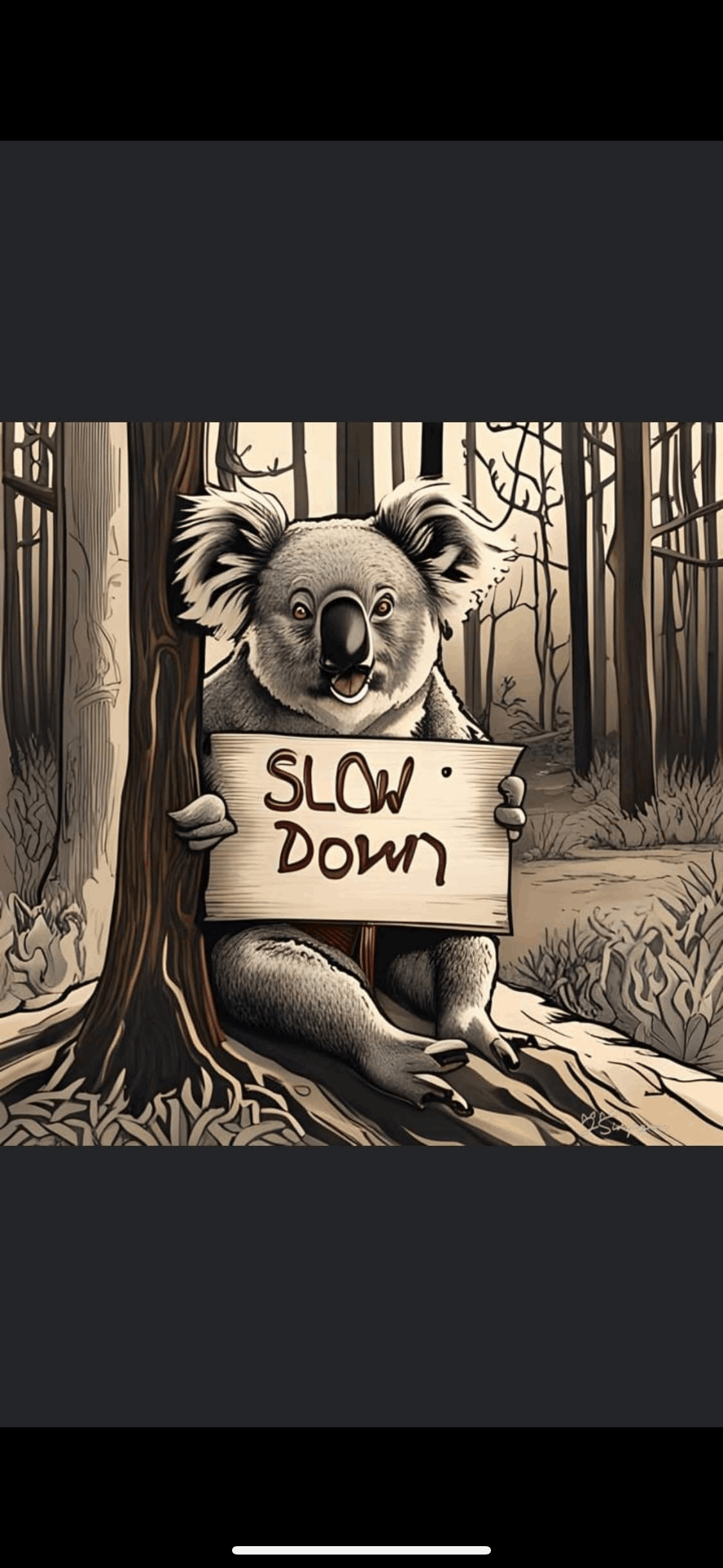 S.A.F.e n Sound wildlife sanctuary