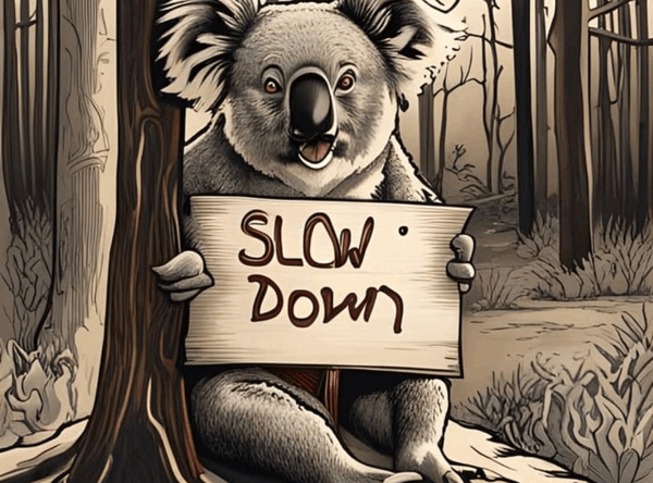 S.A.F.e n Sound wildlife sanctuary