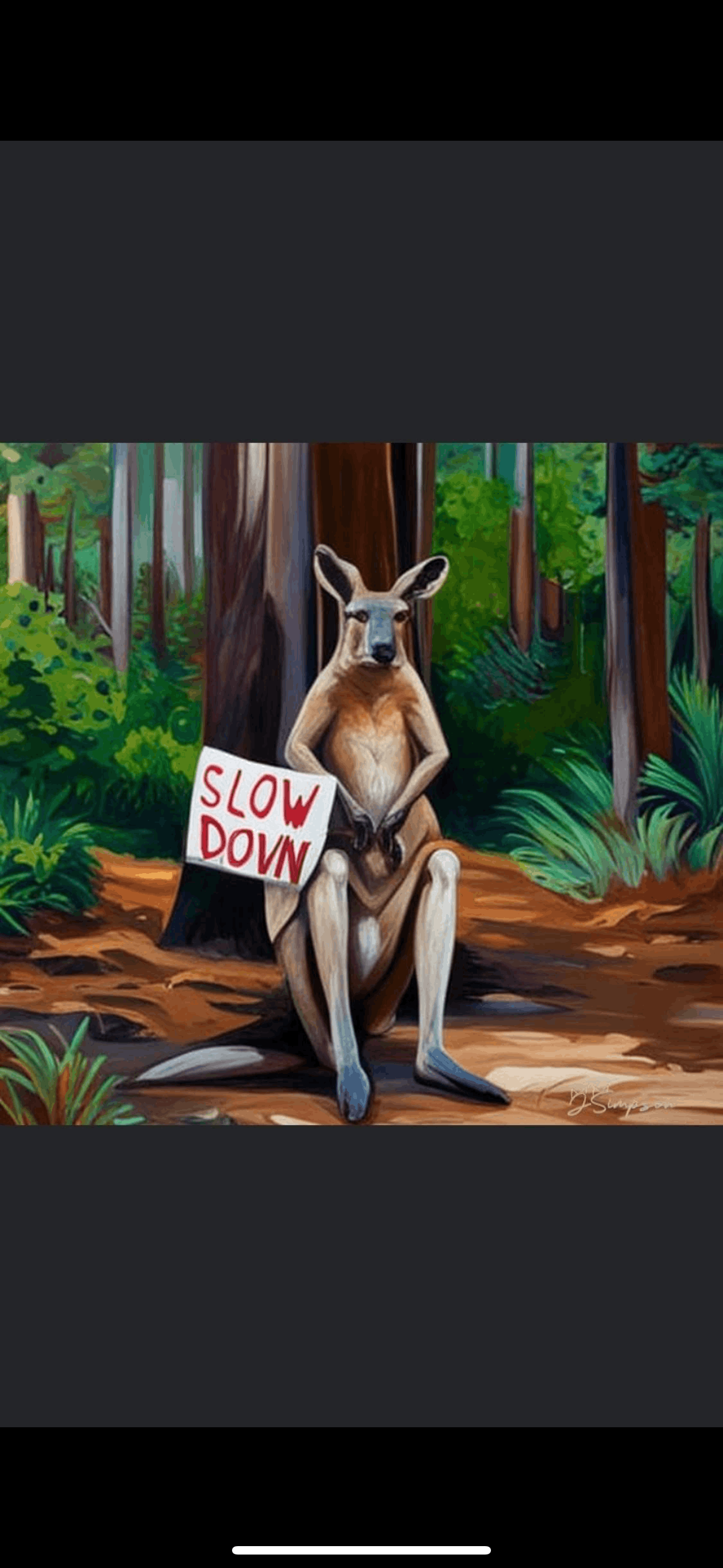 S.A.F.e n Sound wildlife sanctuary