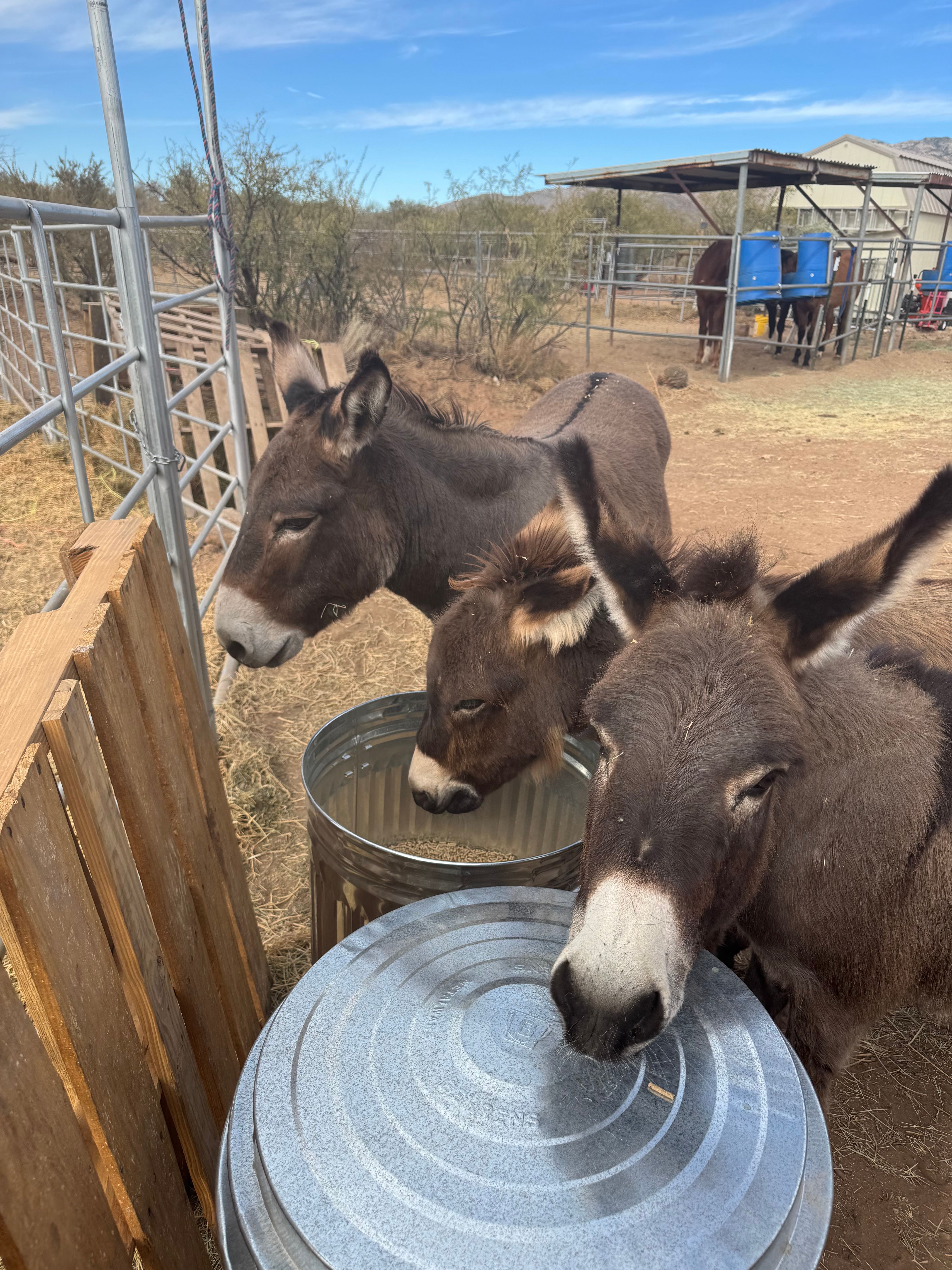 Fun Sized Farms Inc, LLC