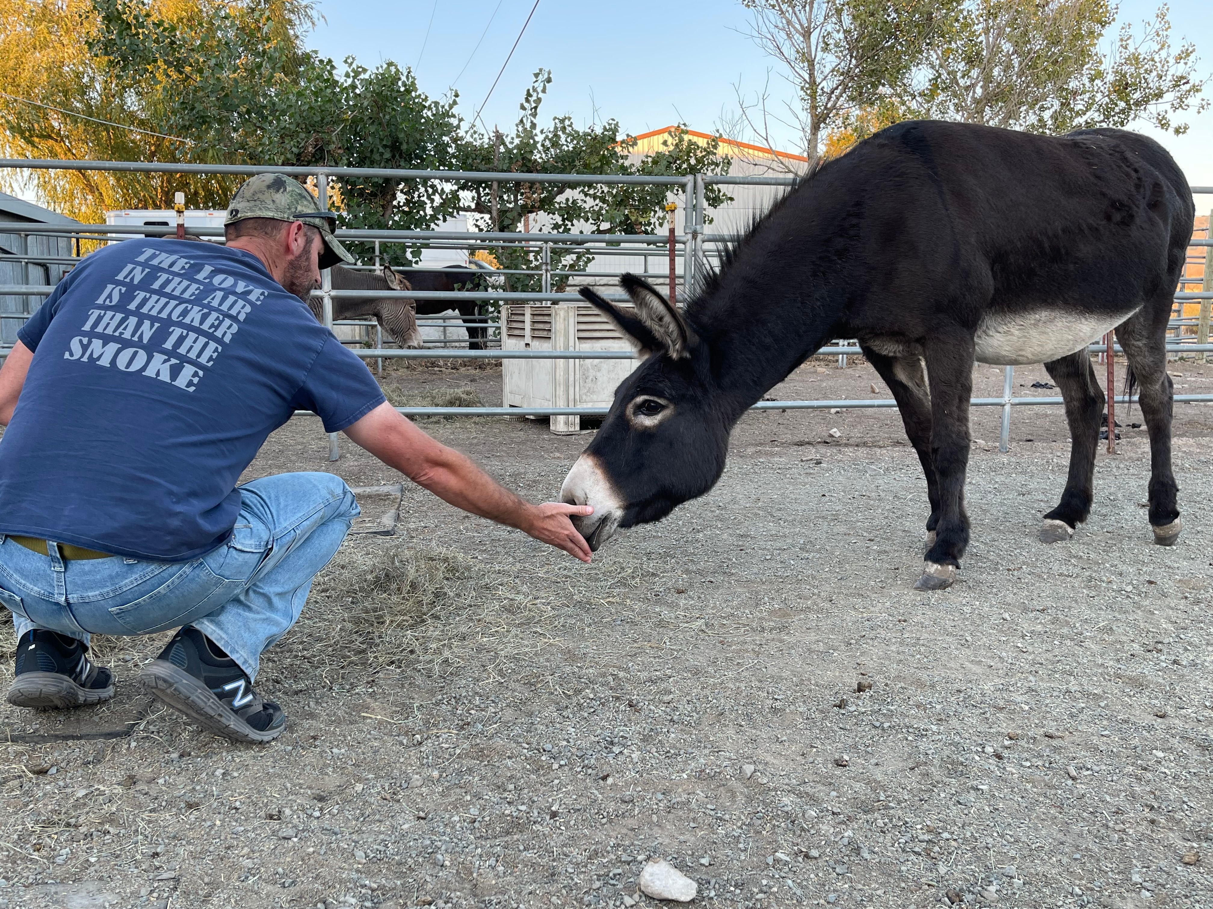 American Made Miniatures Farm Sanctuary