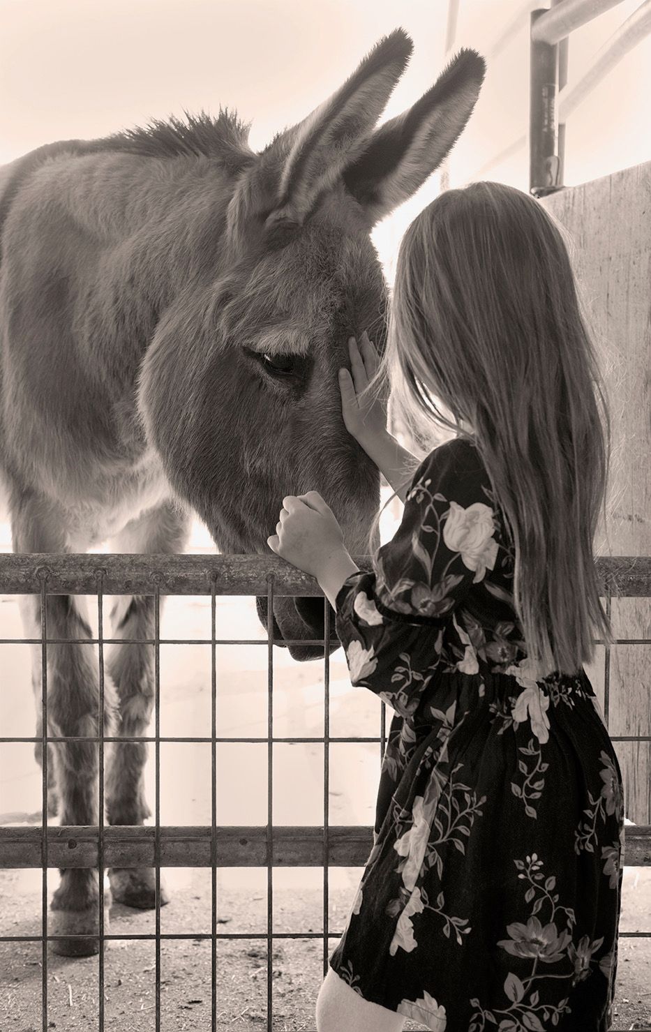 American Made Miniatures Farm Sanctuary