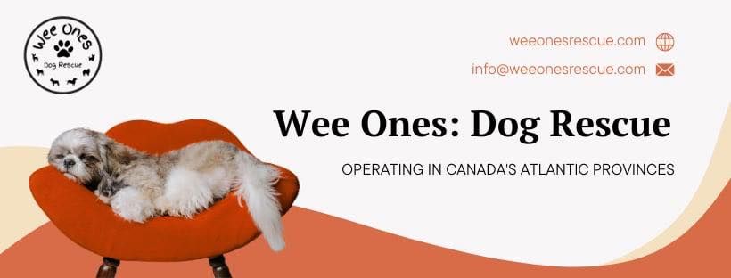 Wee Ones Dog Rescue Society