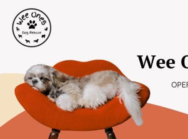 Wee Ones Dog Rescue Society