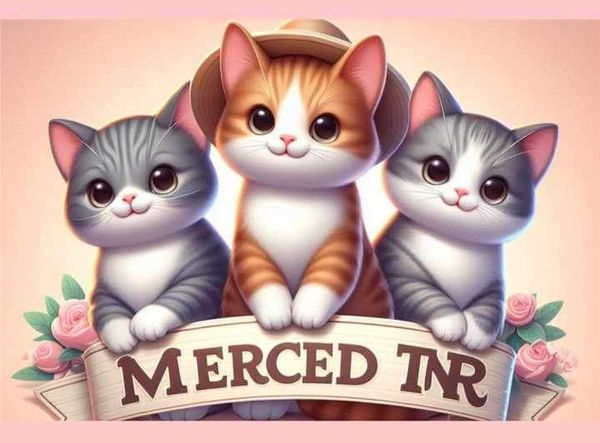 Merced TNR