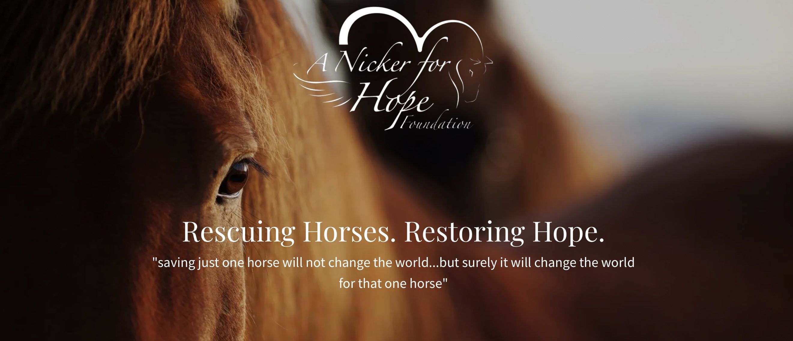 A Nicker For Hope Foundation