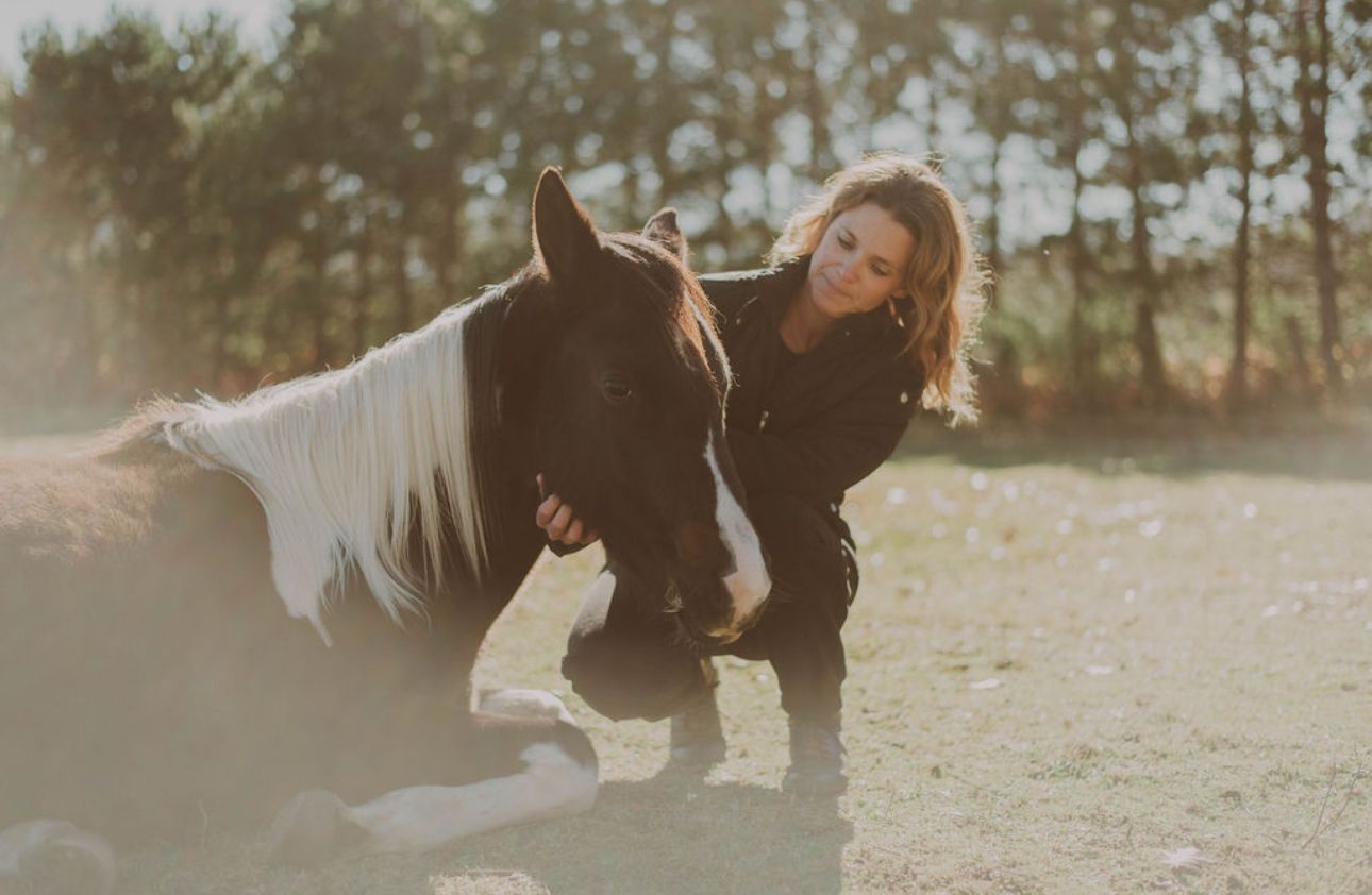 Wild Hearts Farm & Rescue