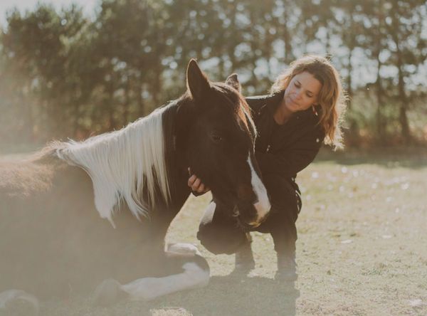 Wild Hearts Farm & Rescue