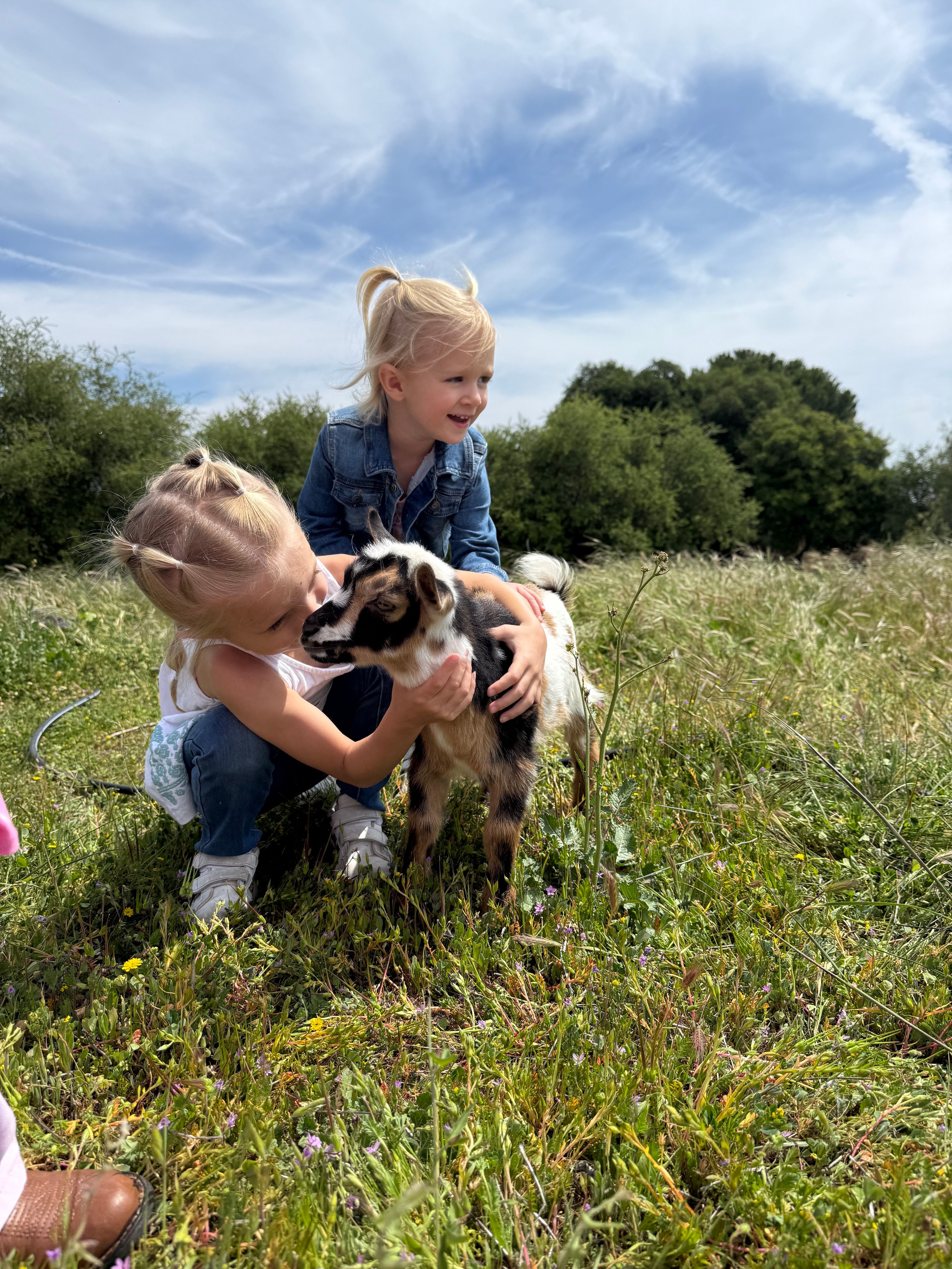 Silver Sage Ranch School