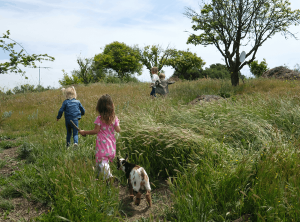Silver Sage Ranch School
