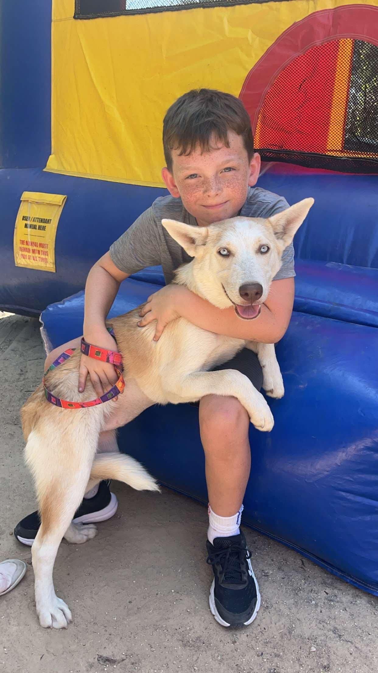 Bosque Animal Rescue Kennels