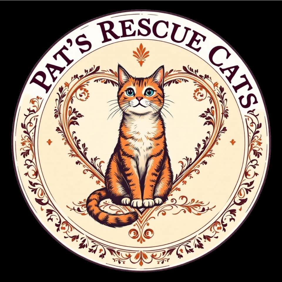 Pat's rescue cats