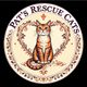 Pat's rescue cats