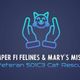 Semper Fi Felines and Mary's Misfits
