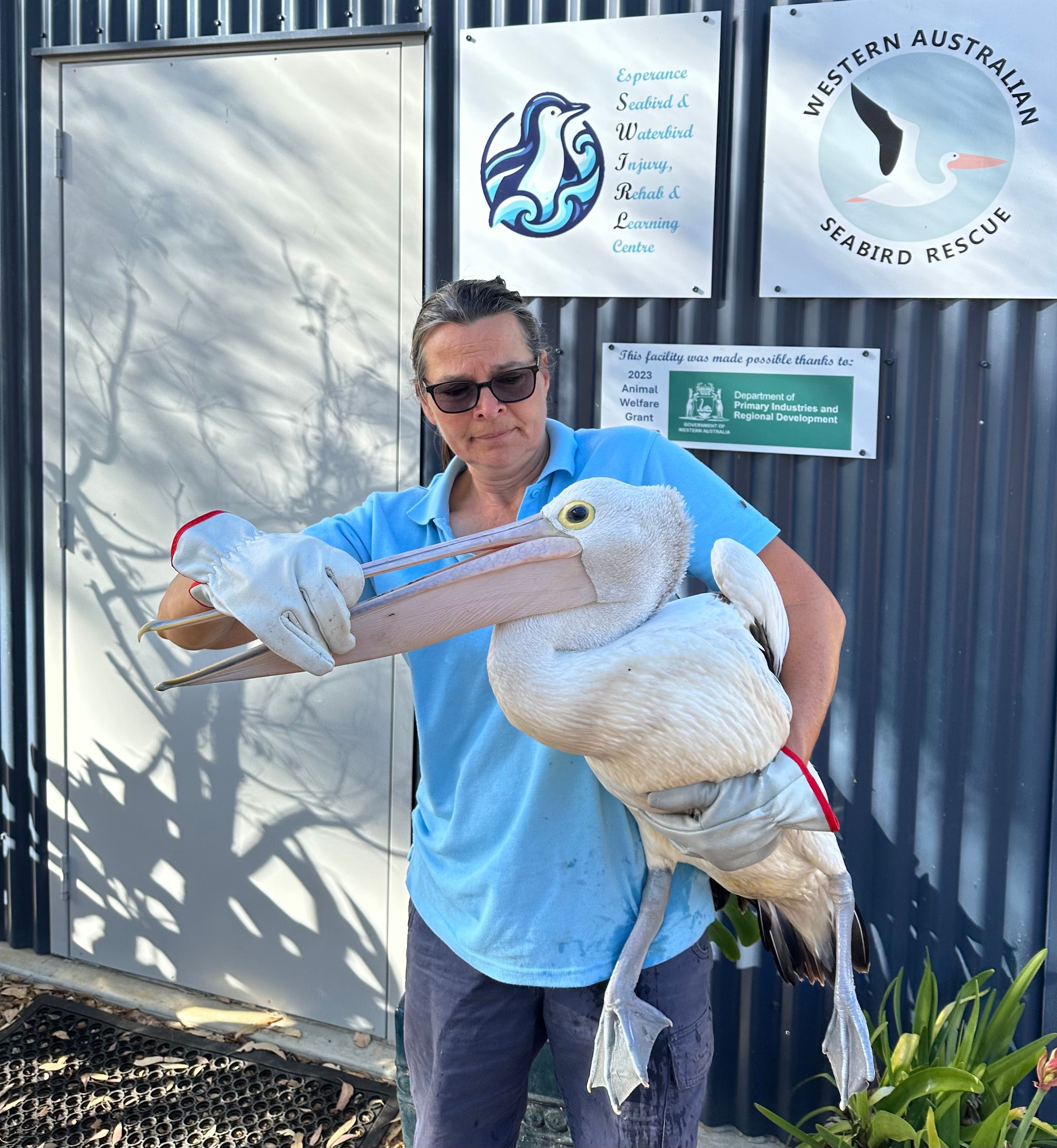 Esperance Wildlife Sanctuary Inc.