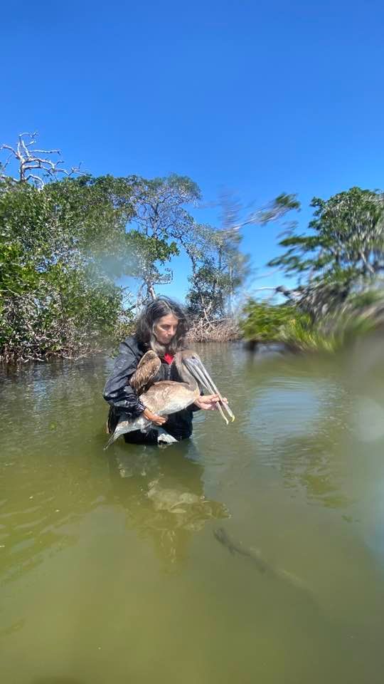 Friends of the Pelicans, Inc.