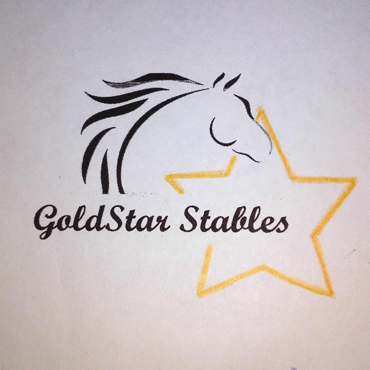 GoldStar Horse Rescue and Sanctuary