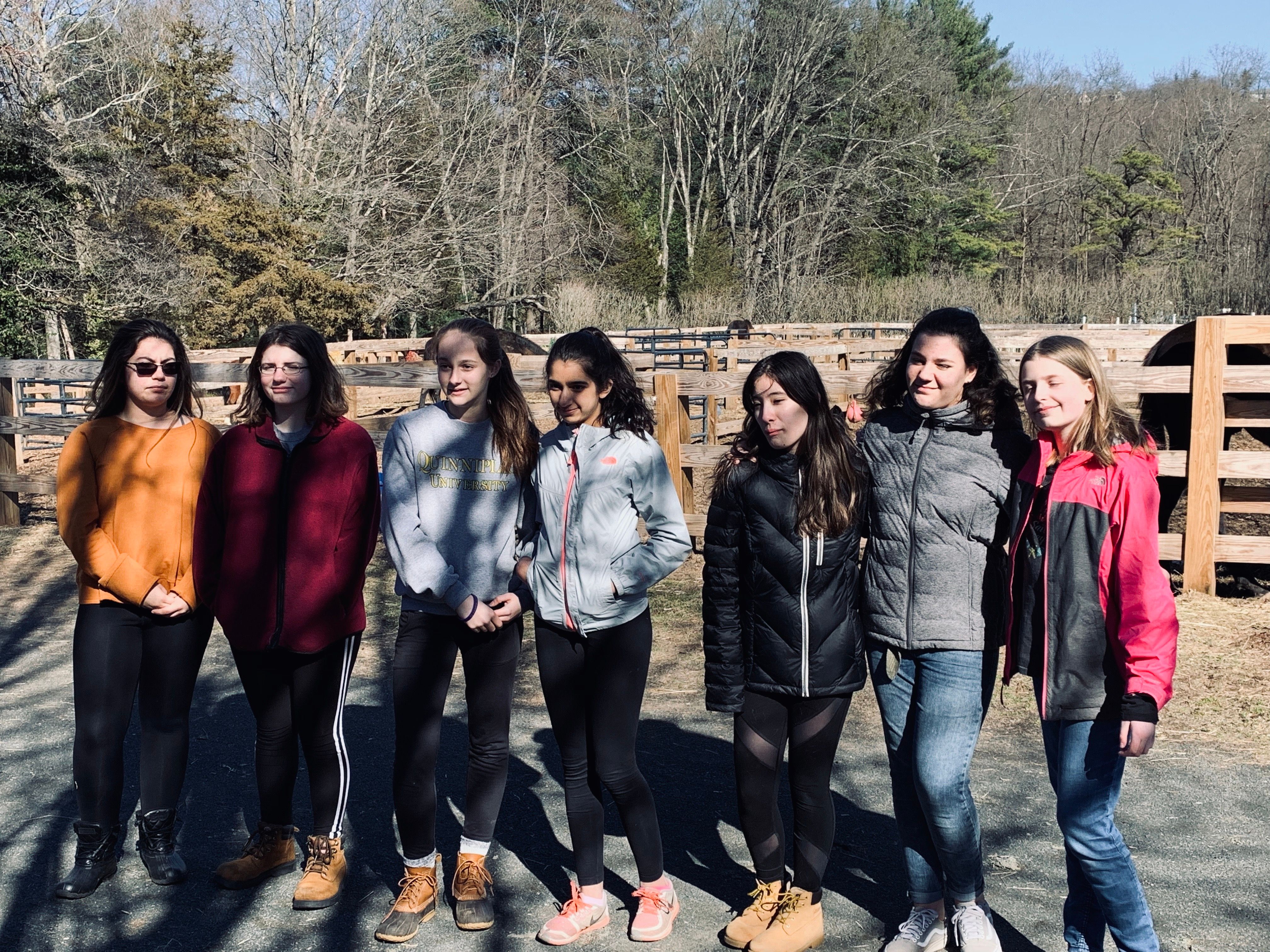 US Horse Welfare & Rescue Organization