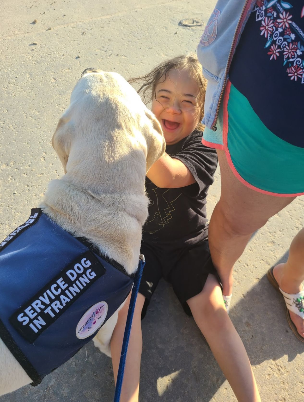 Cornerstone Companions