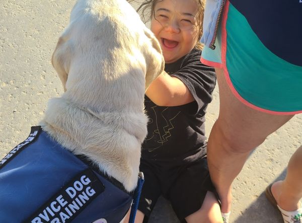 Cornerstone Companions