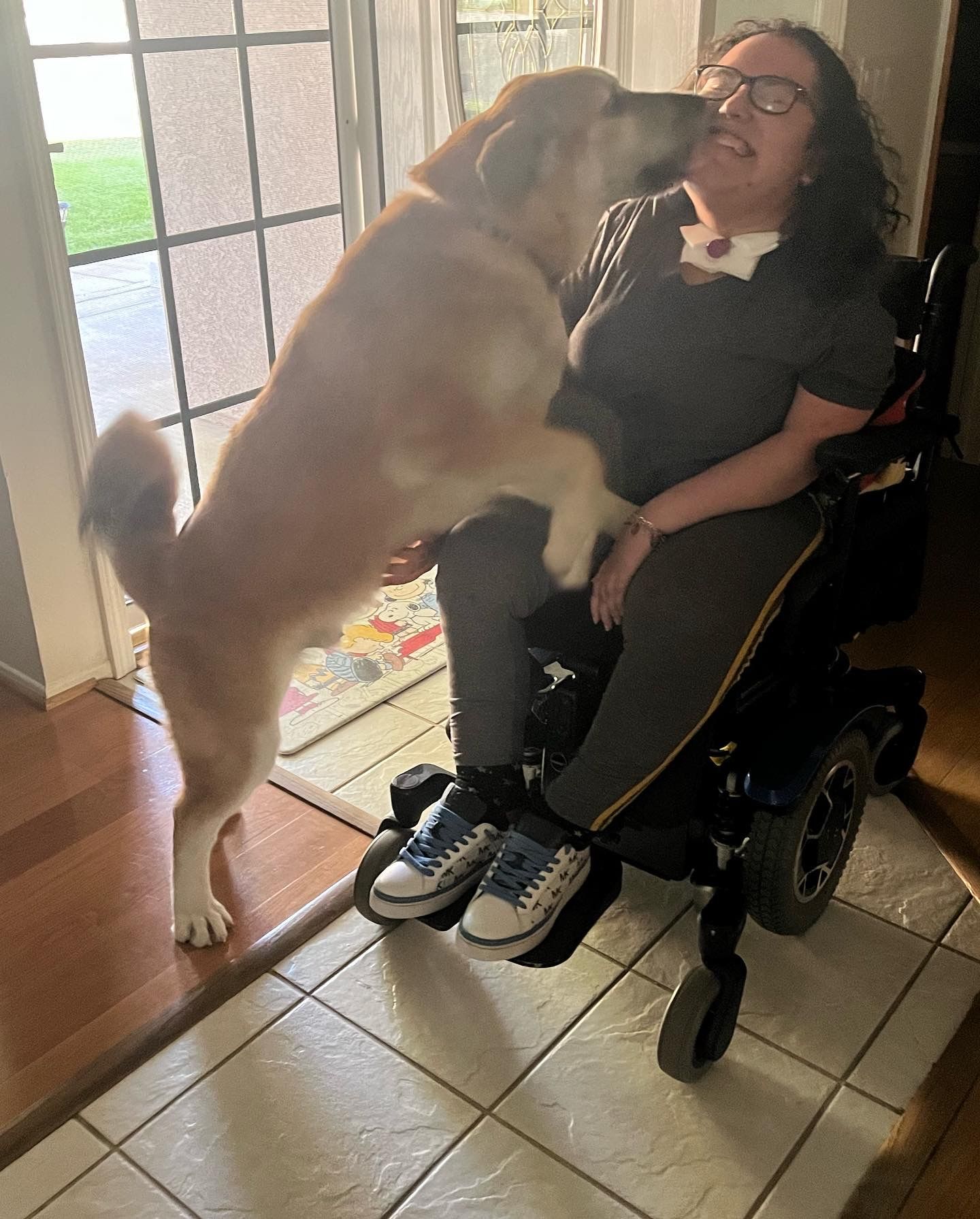 Cornerstone Companions