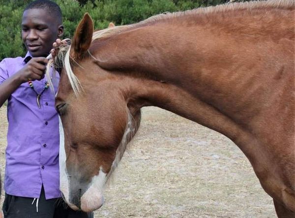 Tom Ro Haven for Equines and Children