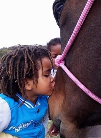 Tom Ro Haven for Equines and Children