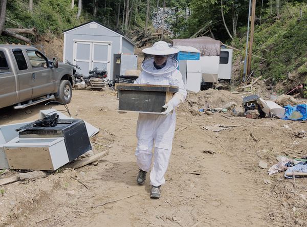 United Carolinas Cavalry