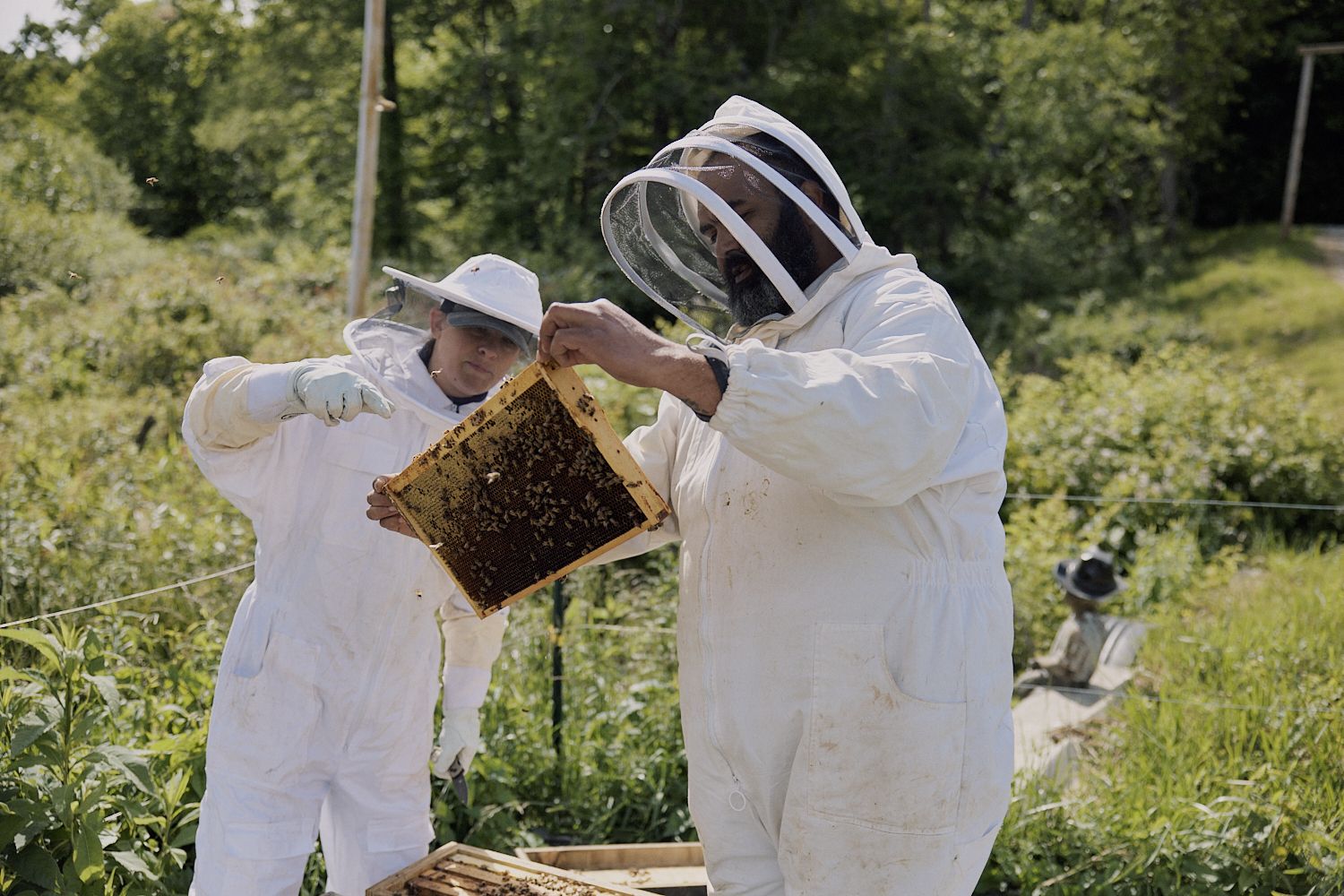 United Carolinas Cavalry