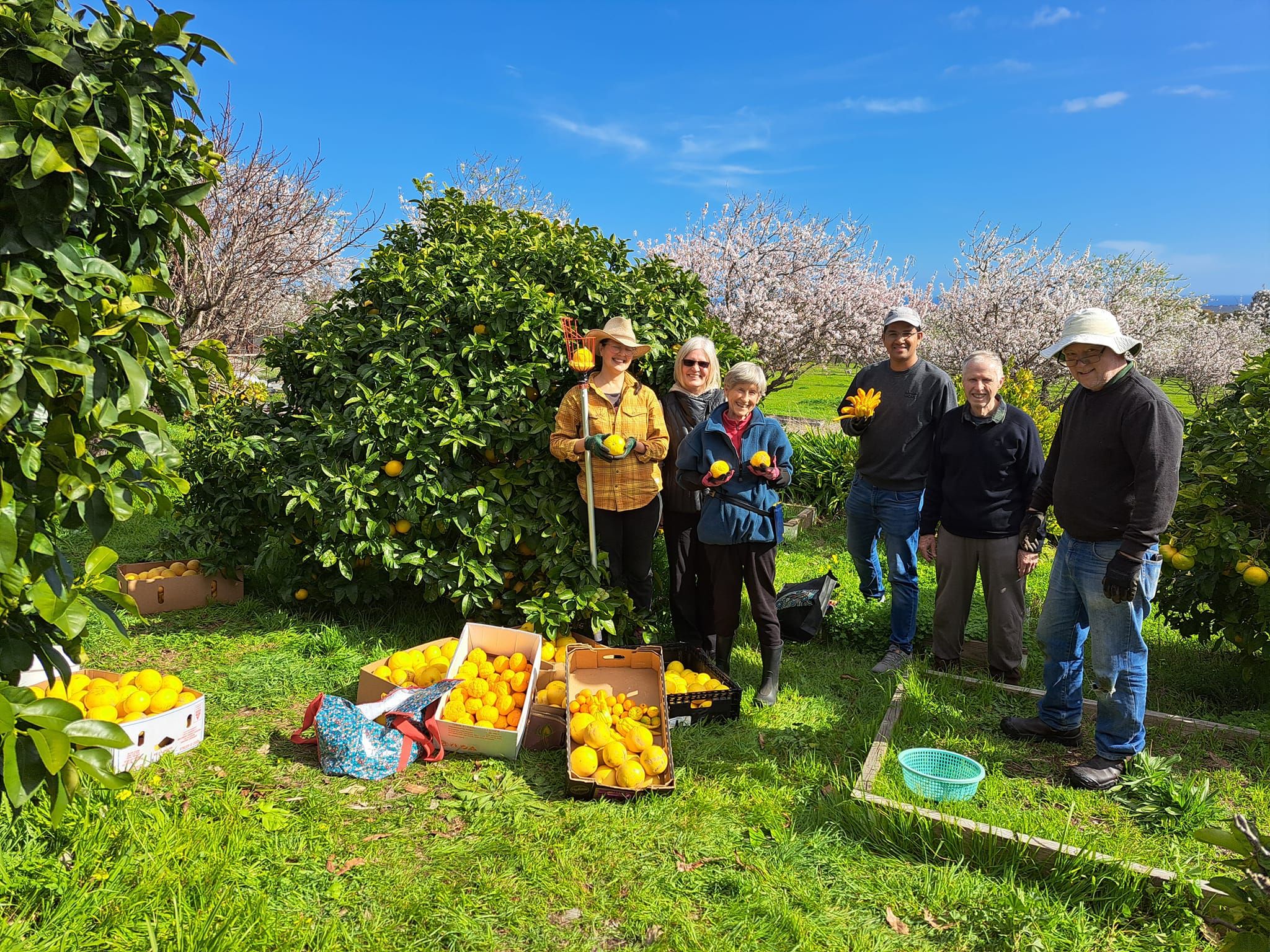 Fruit Share Adelaide