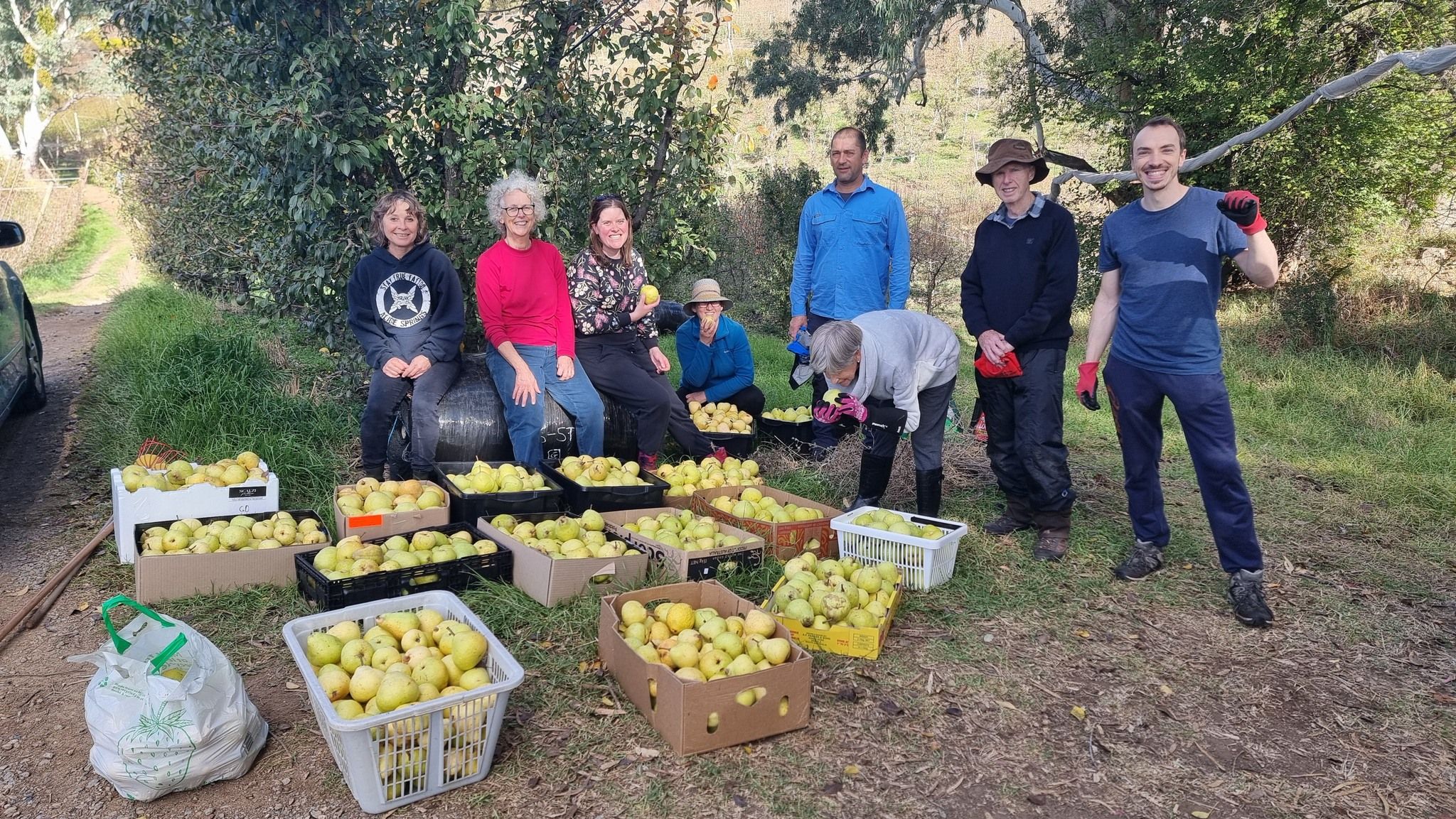Fruit Share Adelaide