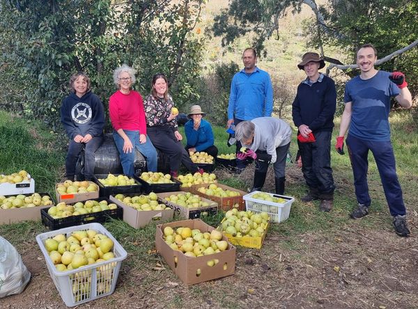 Fruit Share Adelaide