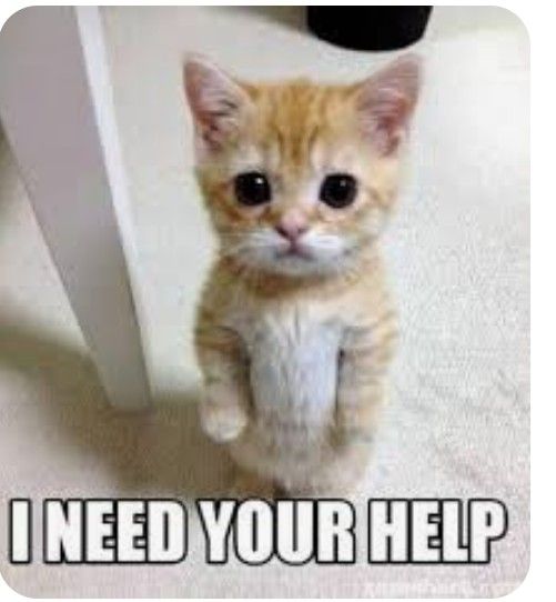 Hull Neutering Scheme