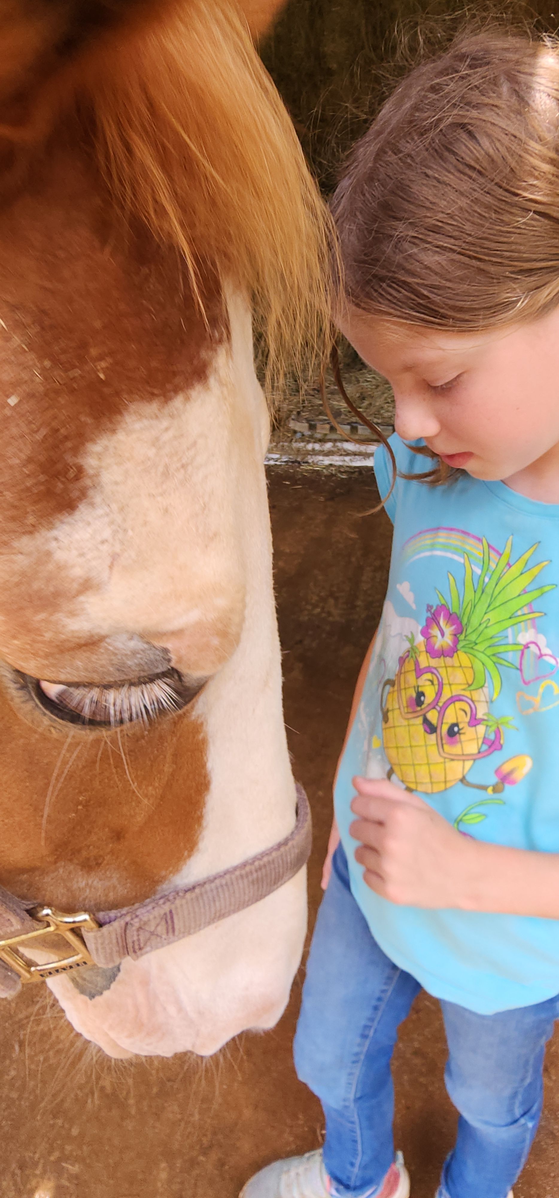 Blue Line Ponies, Inc