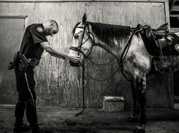 Blue Line Ponies, Inc