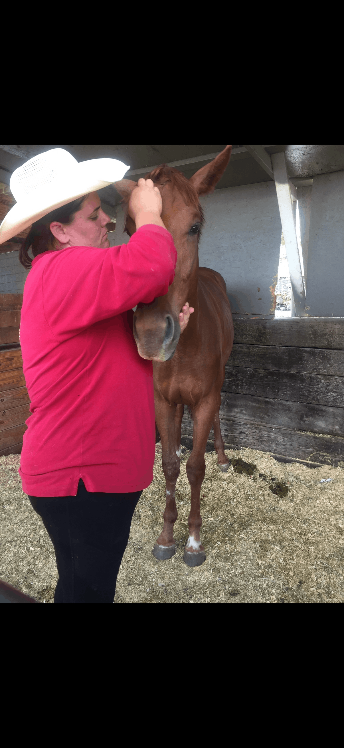 Revival Ranch Sanctuary