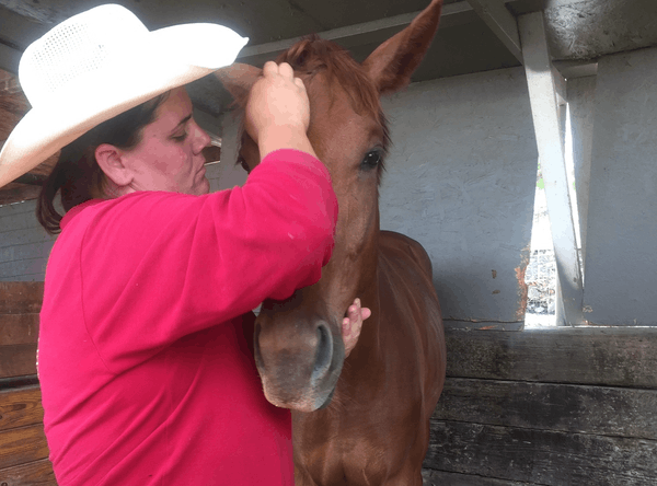 Revival Ranch Sanctuary