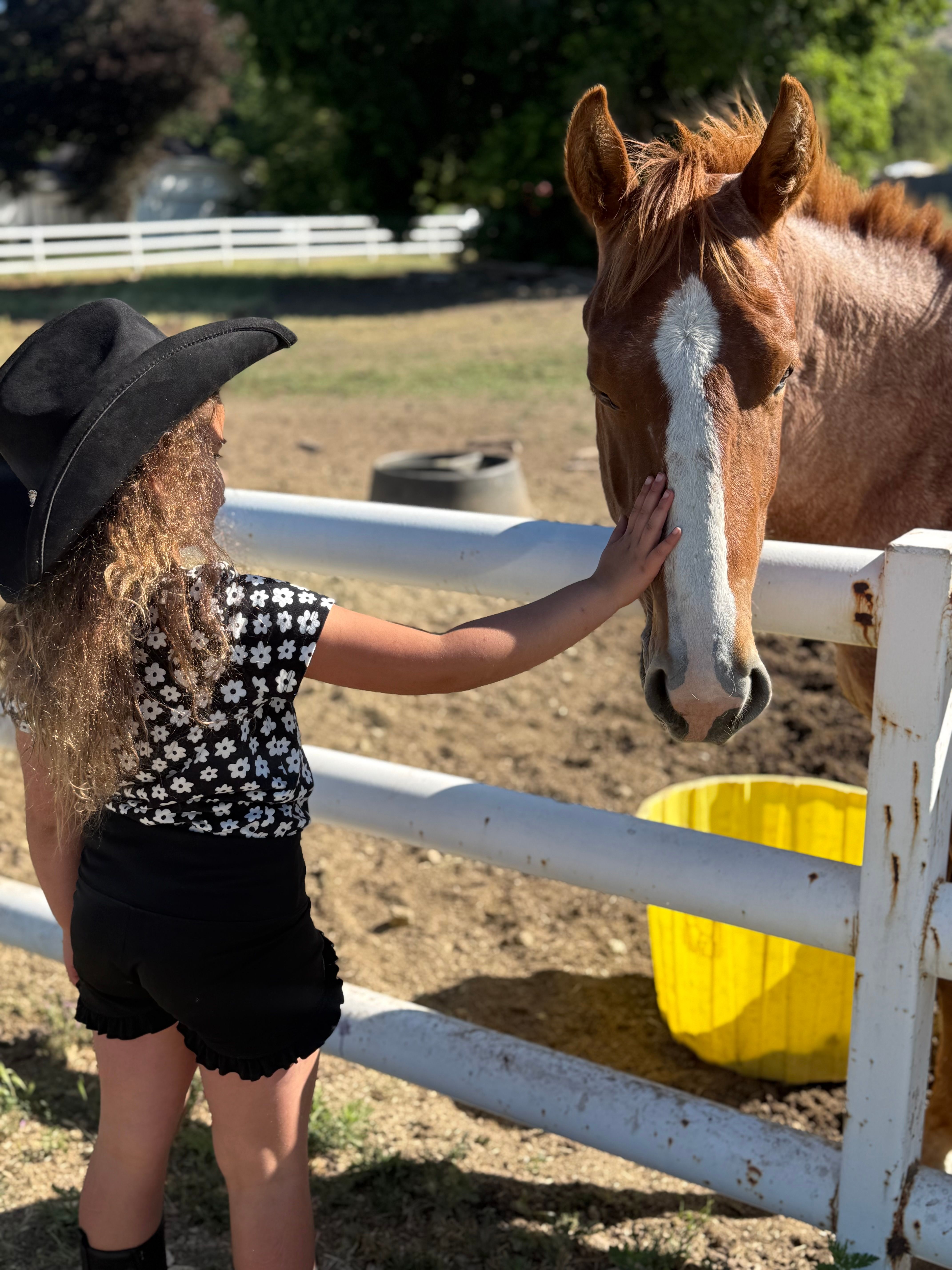 Revival Ranch Sanctuary