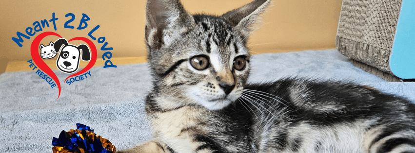 Meant 2B Loved Pet Rescue Society